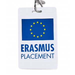 Erasmus Placement